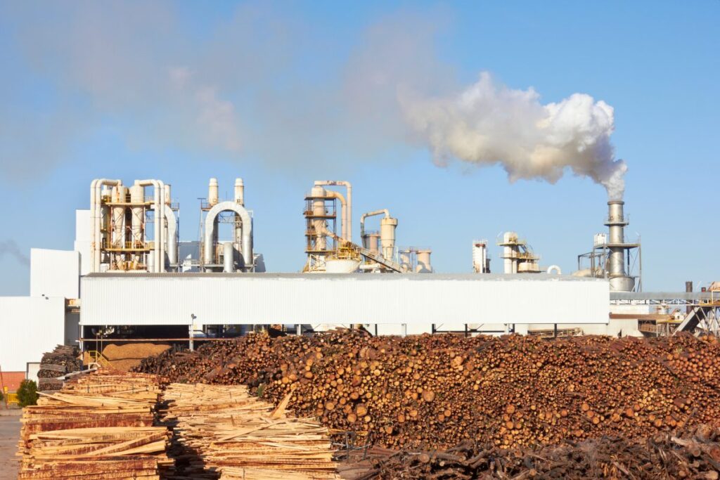 Sustainable Paper Manufacturing: Building a Greener Future